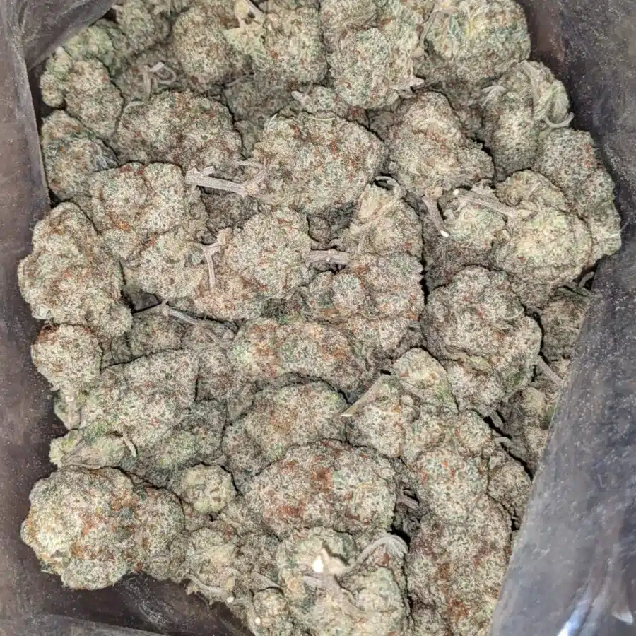 Boston cream 2 1 I $ 50 Oz - Boston Cream
