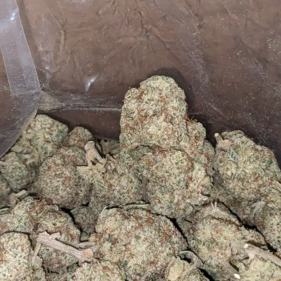 Boston cream 3 1 I $ 50 Oz - Boston Cream