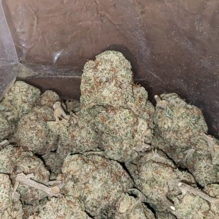 Boston cream 4 I $ 50 Oz - Boston Cream