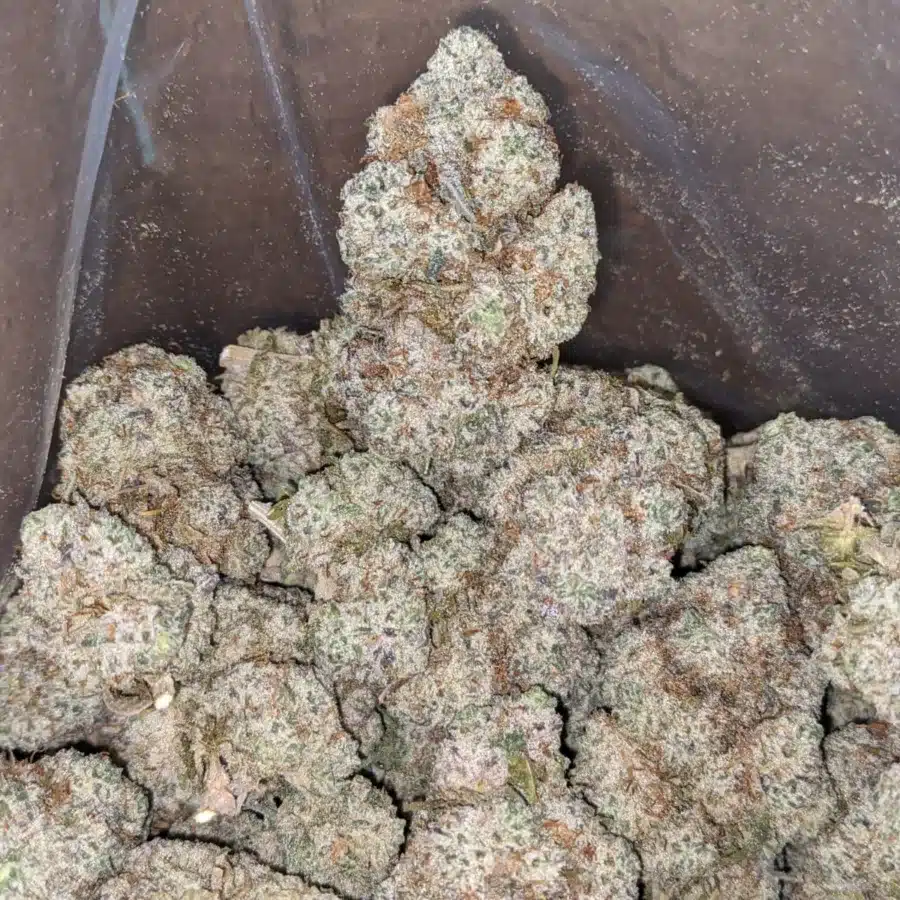 Butter breath 1 I Butter Breath