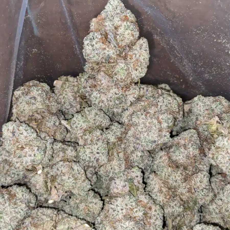 Butter breath 2 I Butter Breath