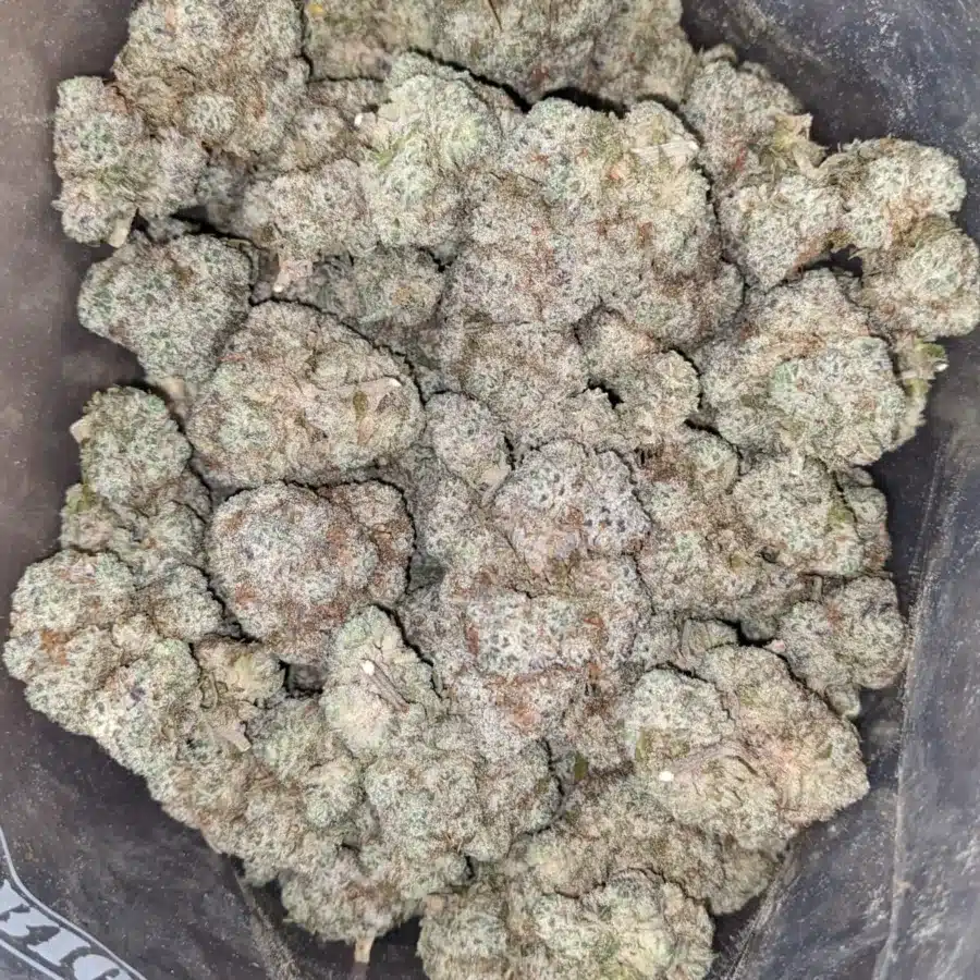 Butter breath 3 I Butter Breath