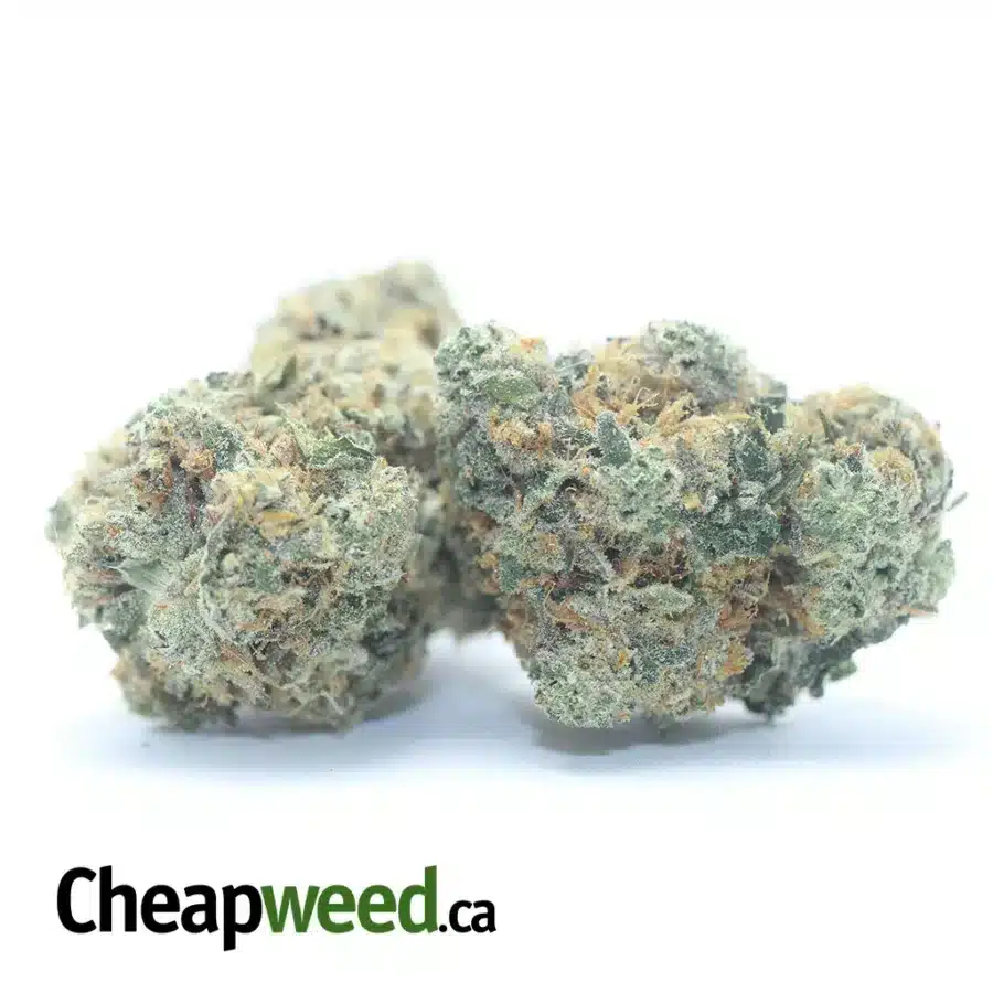 CARAMEL COOKIES 3 I $ 69 Oz - Caramel Cookies