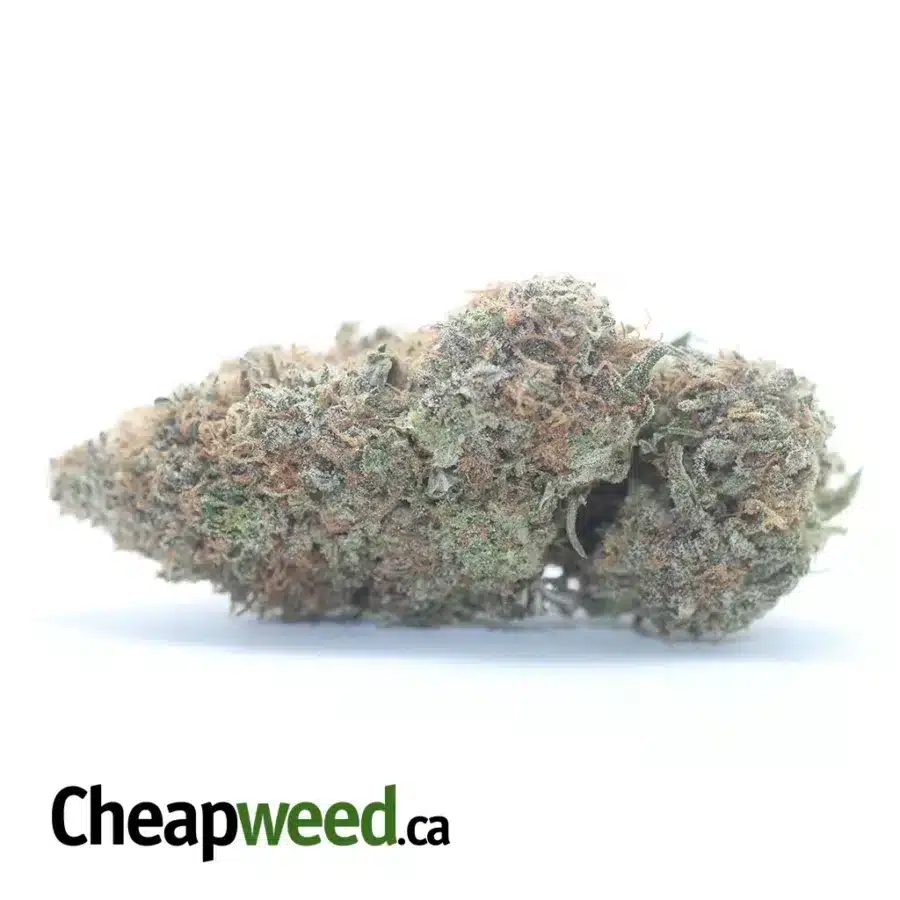 $ 54 Oz - Chocolate Kush