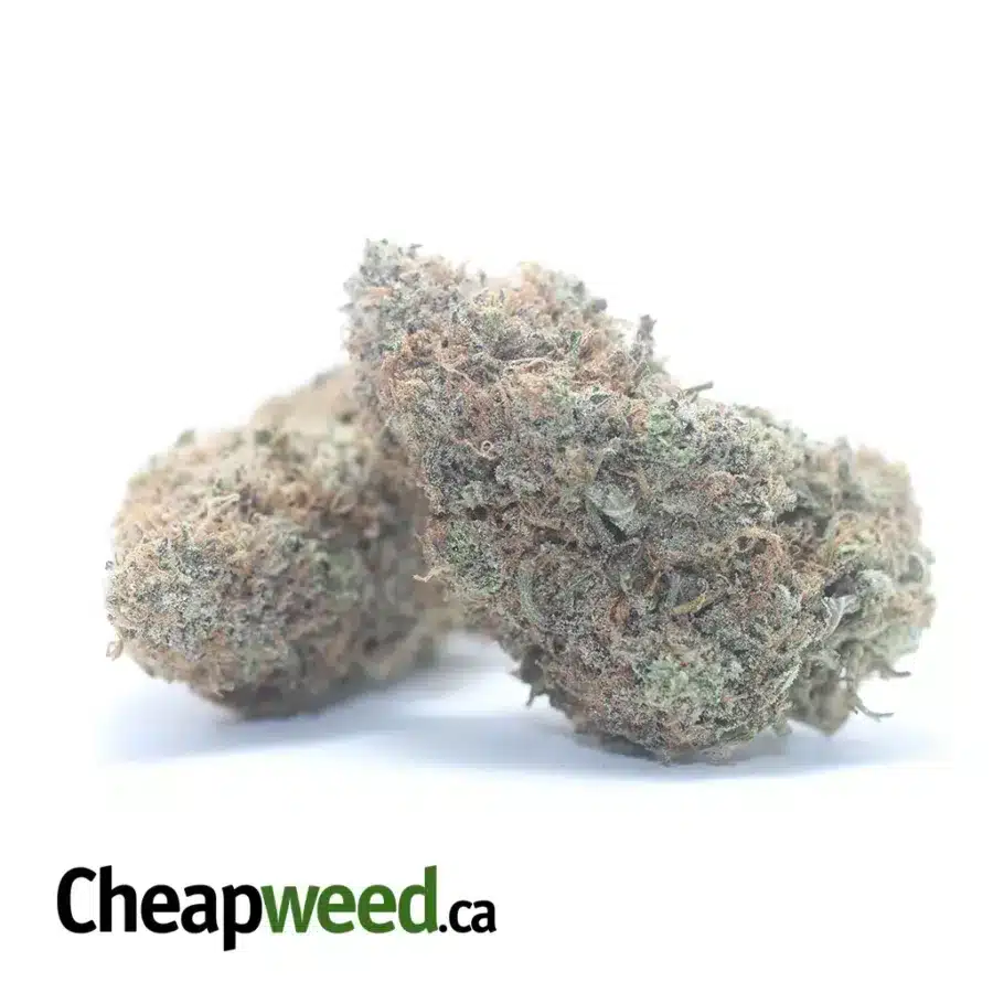 Alternative view of $ 54 Oz - Chocolate Kush