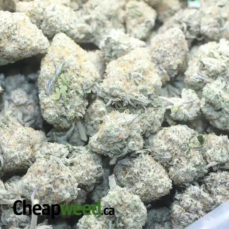 COTTON CANDY 1 I $ 55 Oz - Cotton Candy