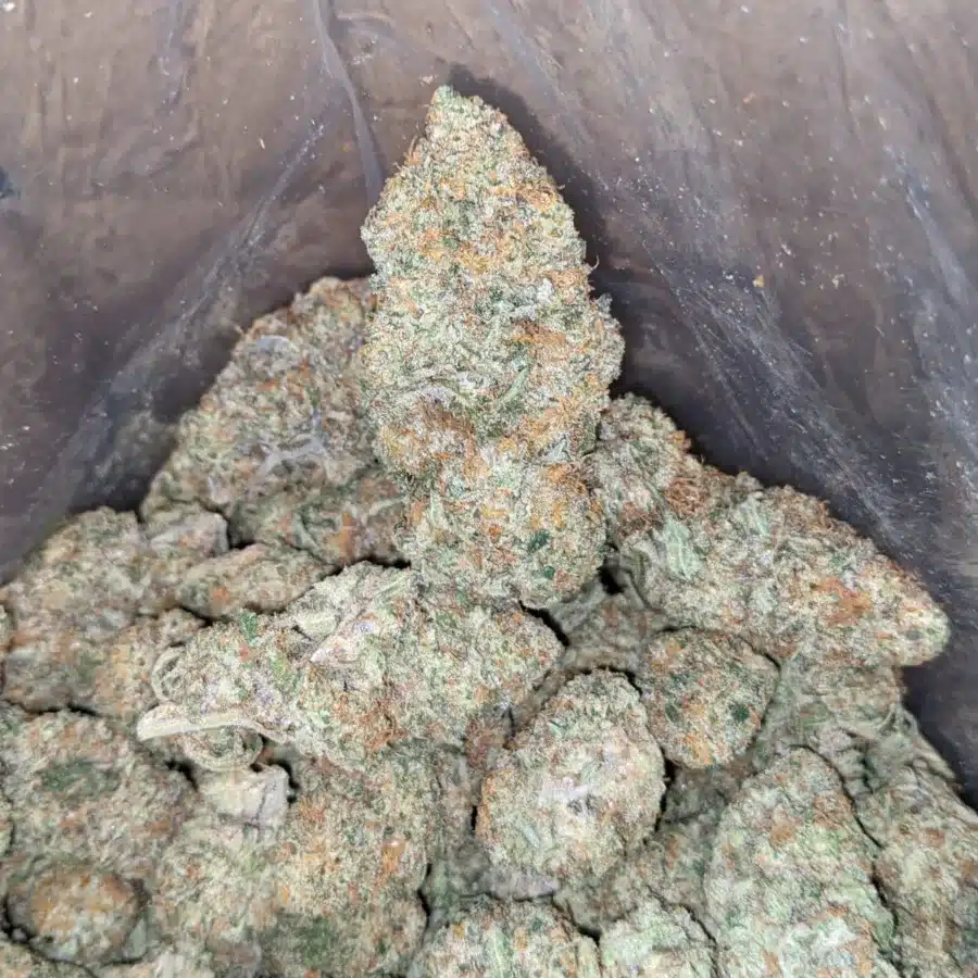 Cotton Candy 3 1 I Cotton Candy