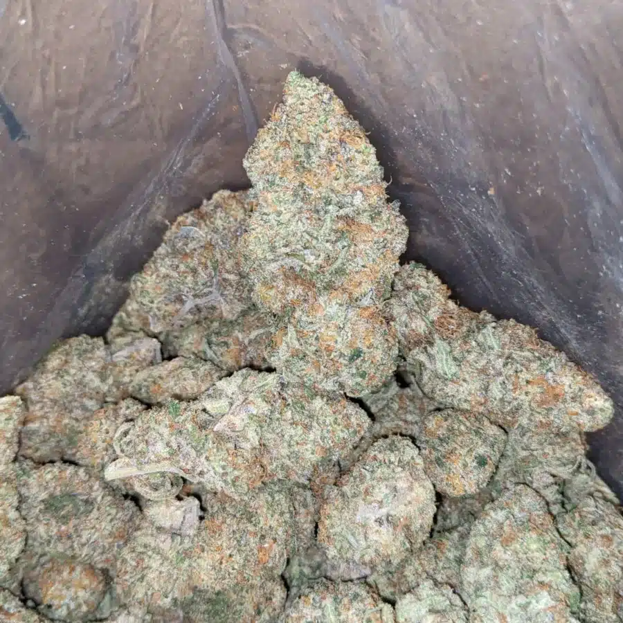Cotton Candy 4 I Cotton Candy