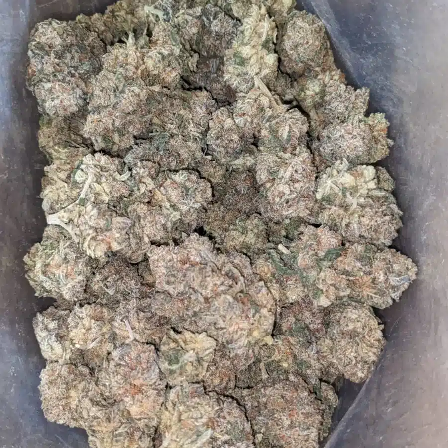 Dark Matter