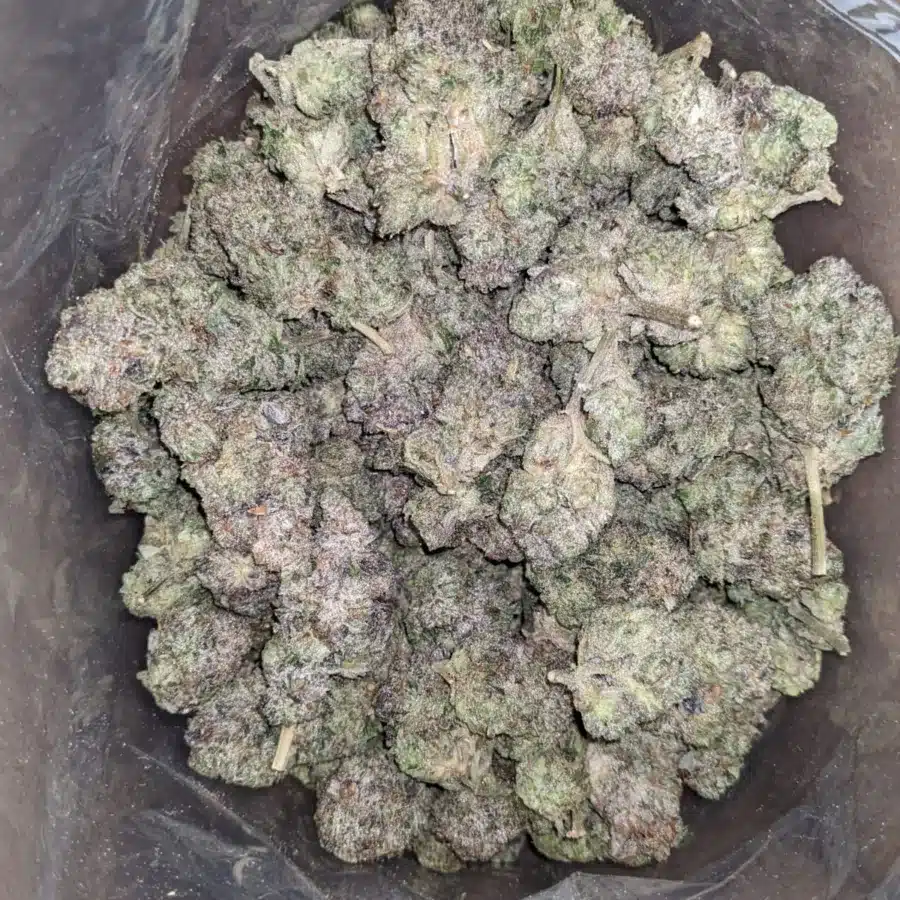 Death Star 4 I Death Star