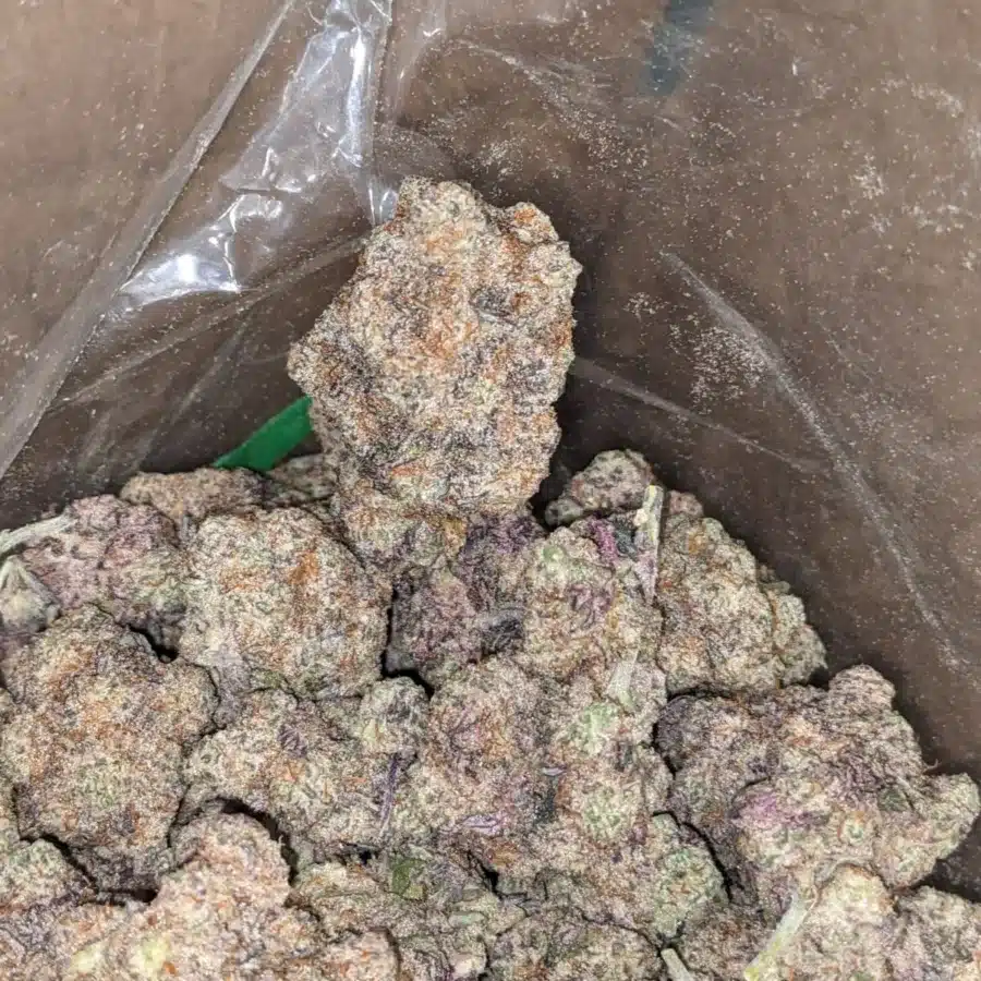Frosted Amethyst 3 I Frosted Amythest