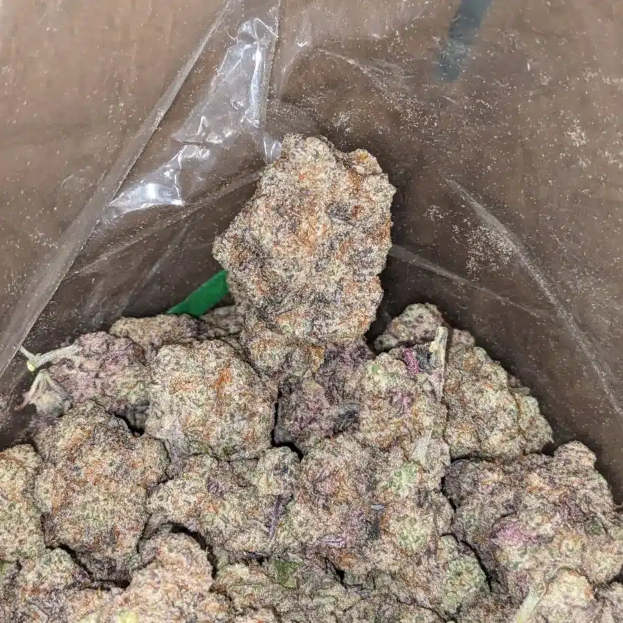 Frosted Amethyst 4 I Frosted Amythest