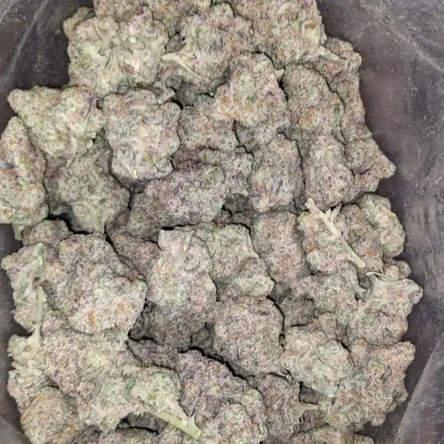 Frosted Cookies - Image 7
