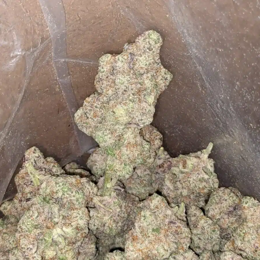 Frosted Cookies - Image 6