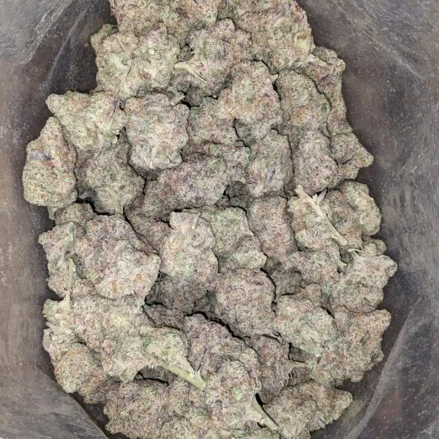 Frosted Cookies - Image 5