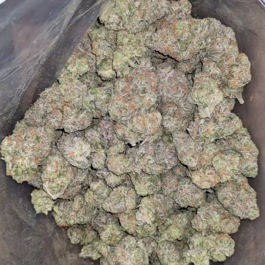 Fruit punch 1 1 I Fruit Punch