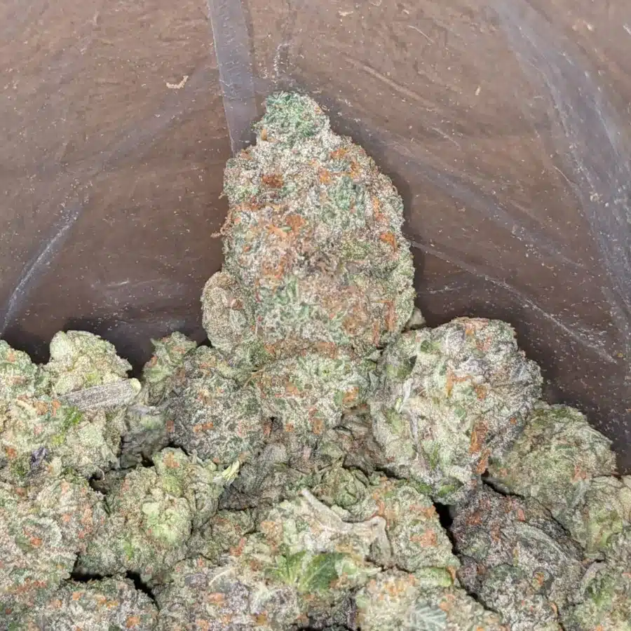 Fruit punch 2 1 I Fruit Punch