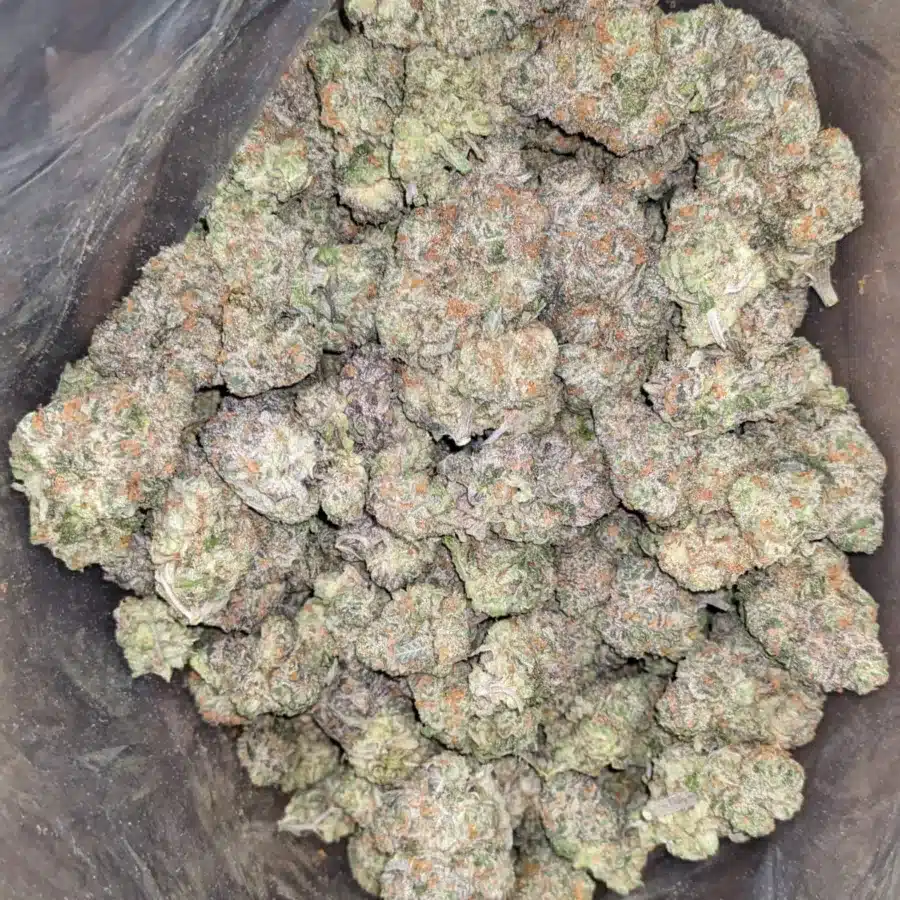 Fruit punch 3 1 I Fruit Punch