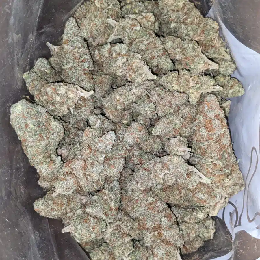 $ 45 Oz - Funky Kitty