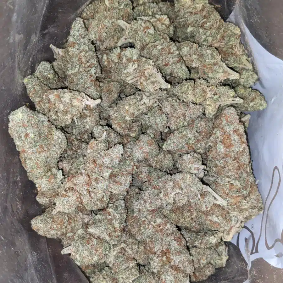 Alternative view of $ 45 Oz - Funky Kitty