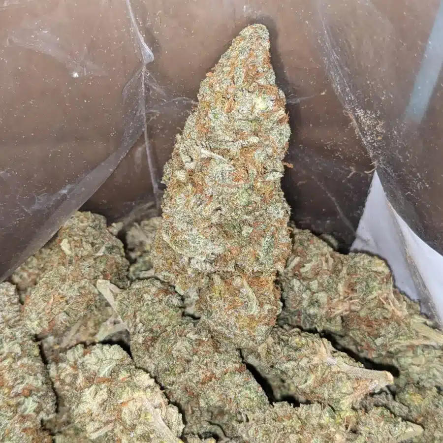 Funky Kitty 4 I $ 45 Oz - Funky Kitty