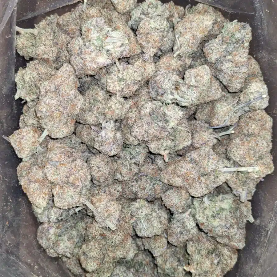 Ghost cookies 2 1 I Ghost Cookies