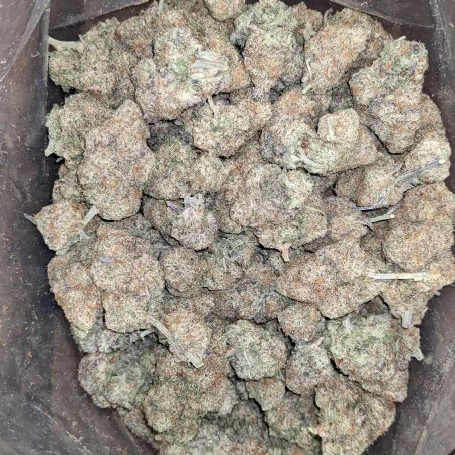 Ghost cookies 3 1 I Ghost Cookies