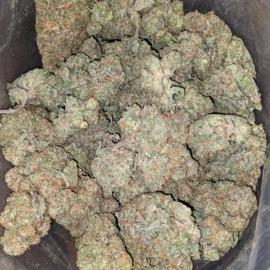 HUBBA BUBBA 2 I Hubba Bubba