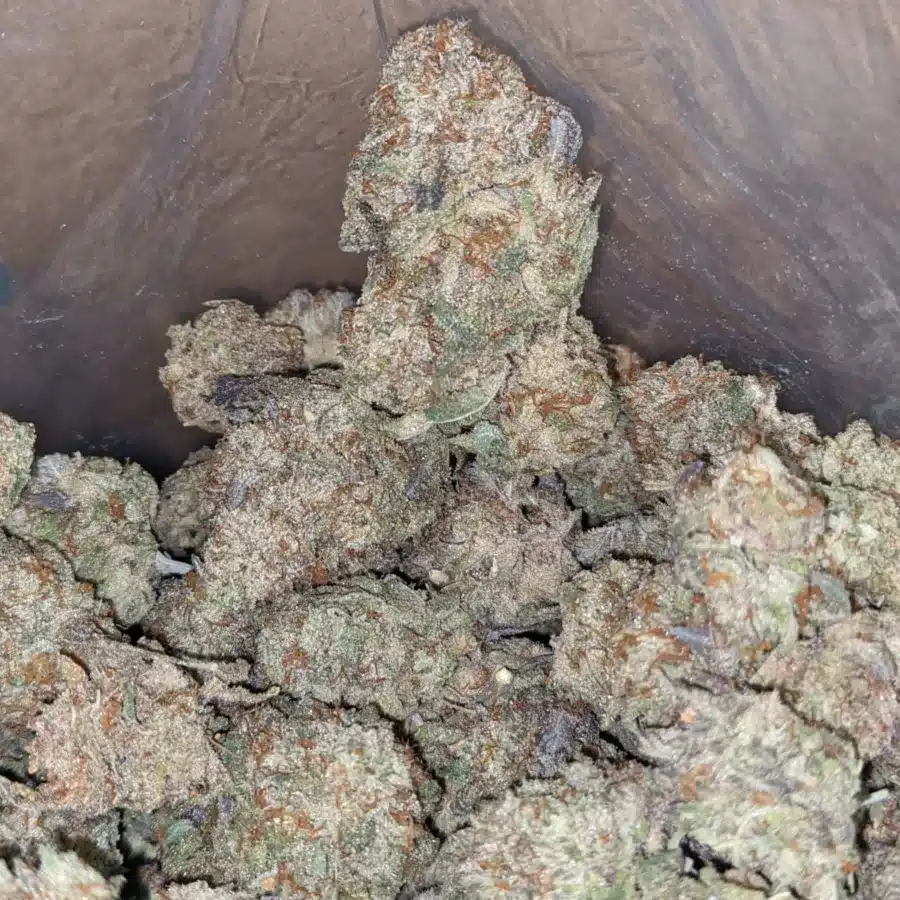 Jetfuel Gelato 3 I Jetfuel Gelato
