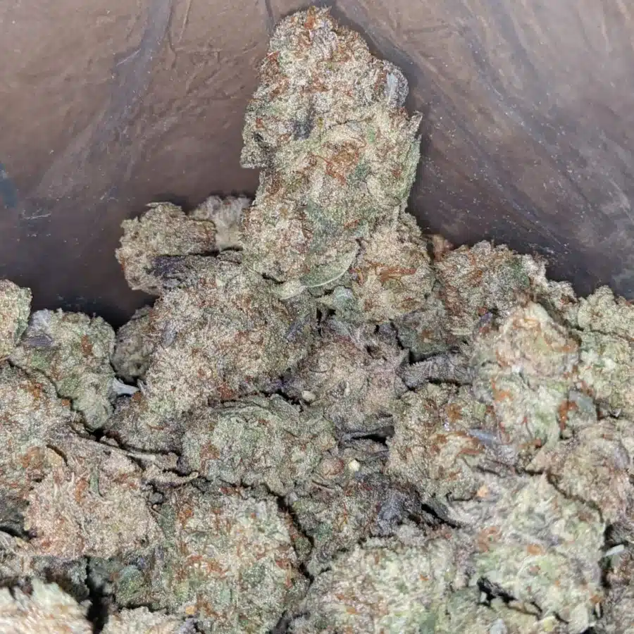Jetfuel Gelato 4 I Jetfuel Gelato