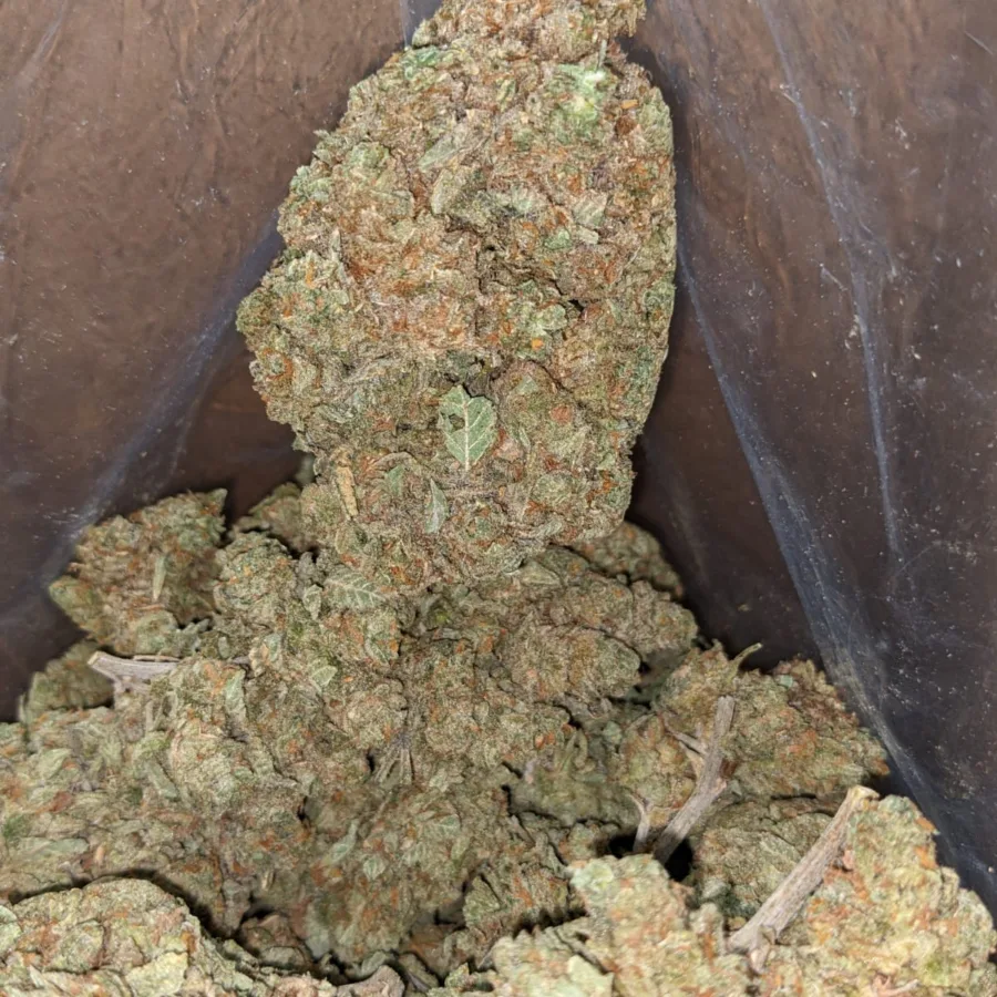 Lavender - Image 5