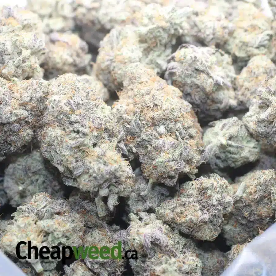 MAC 10 X GMO COOKIES FLAT 1 I $ 62 Oz - Mac 10 X Gmo Cookies