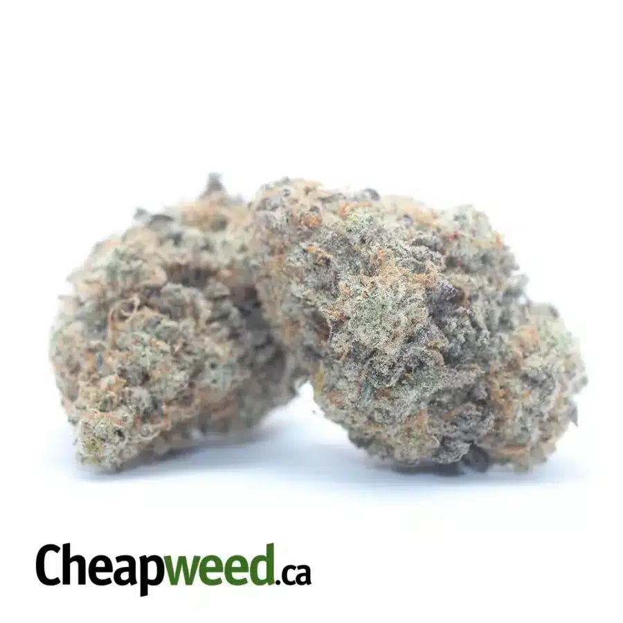 Alternative view of $ 62 Oz - Mac 10 X Gmo Cookies