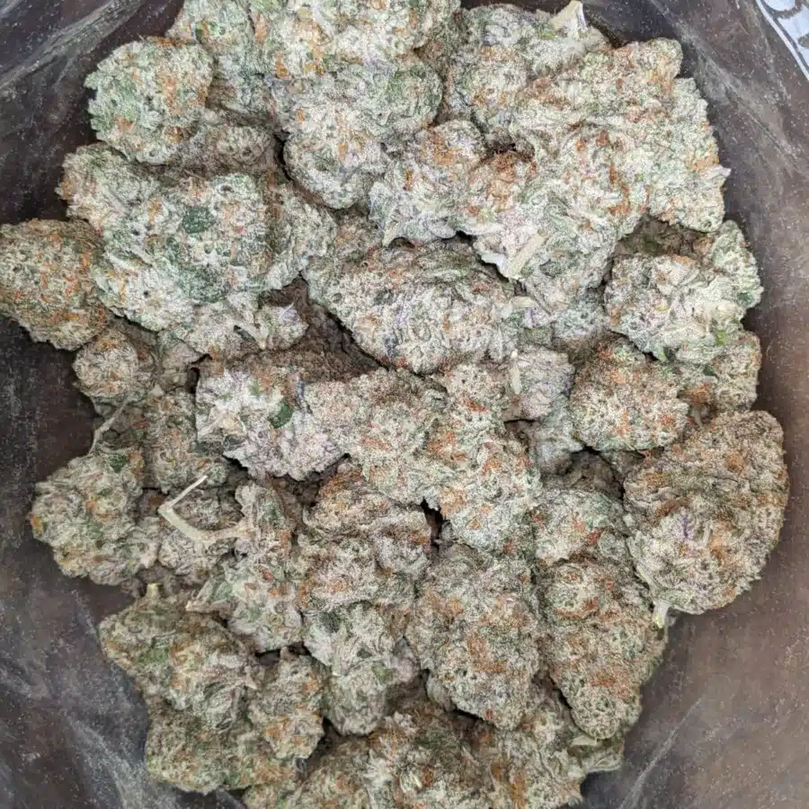 Mac 10 x Gmo Cookies 1 I MAC10 x GMO Cookies
