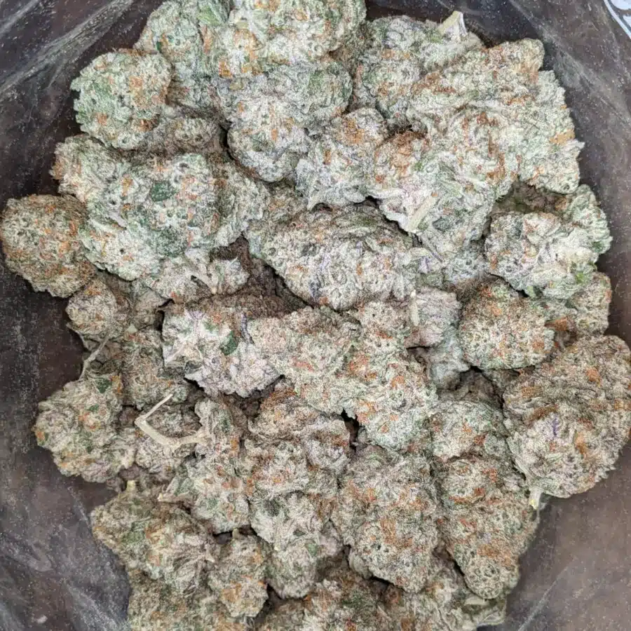 Mac 10 x Gmo Cookies 2 I MAC10 x GMO Cookies