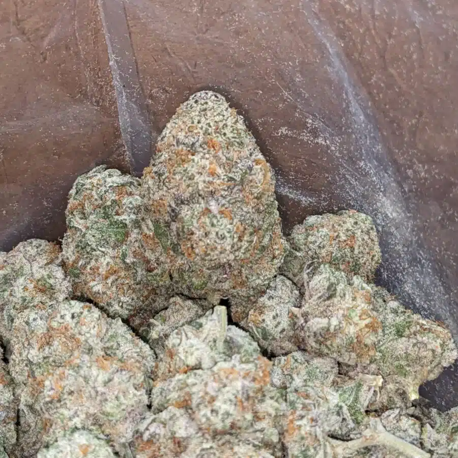 Mac 10 x Gmo Cookies 3 I MAC10 x GMO Cookies