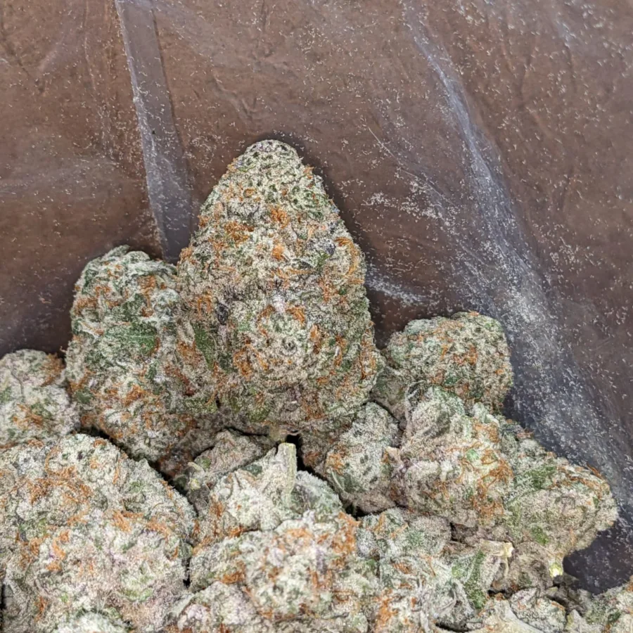 Mac 10 x Gmo Cookies 4 I MAC10 x GMO Cookies