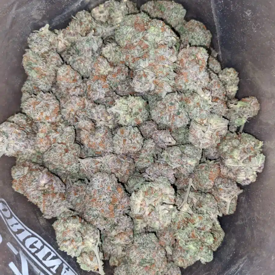 Nuken 3 1 I Nuken