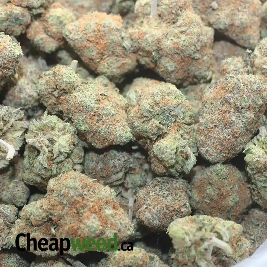 PEANUT BUTTER BREATH 1 I Peanut Butter