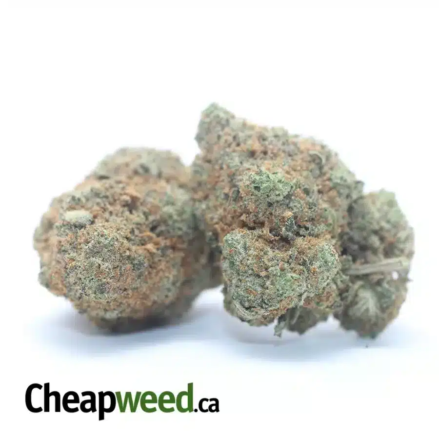 PEANUT BUTTER BREATH 3 I Peanut Butter