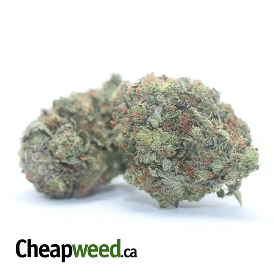 PINK CHEMDAWG 3 I Pink Chemdawg