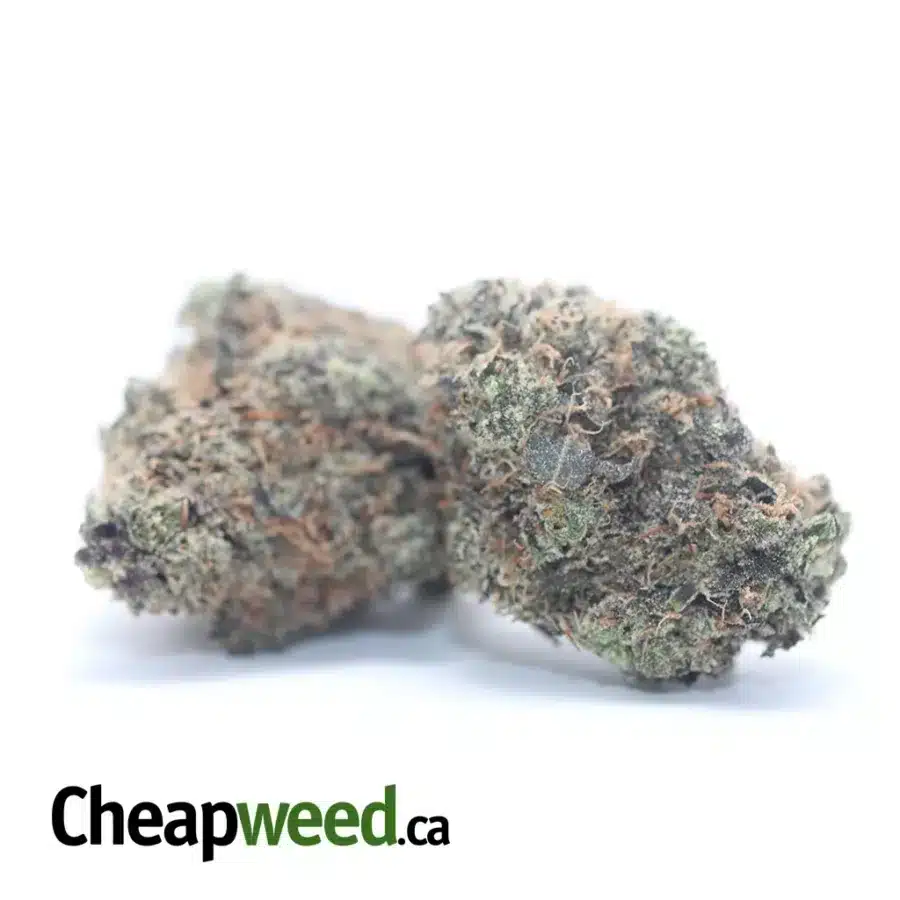 PURPLE ACAI BERRY 3 1 I Purple Acai Berry #2
