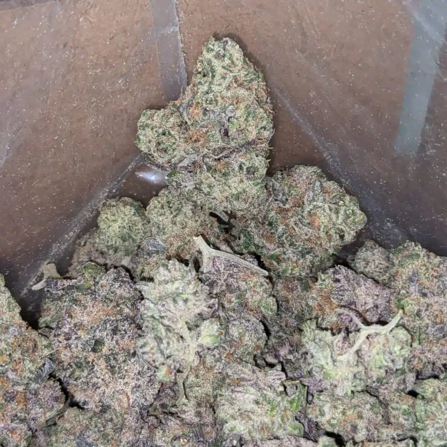 Peyote cookies 2 1 I Peyote Cookies