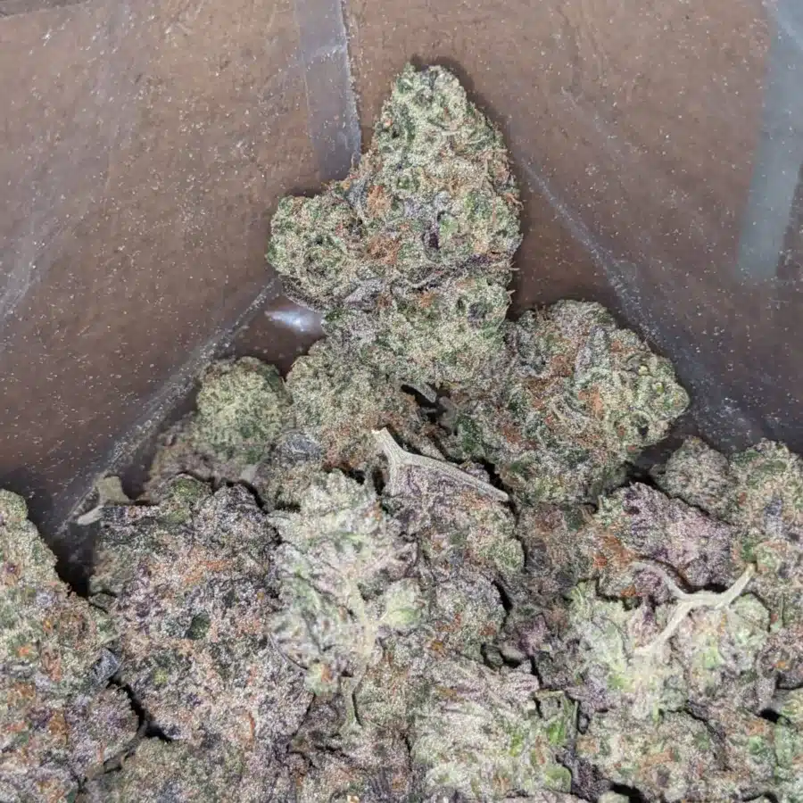 Peyote cookies 3 1 I Peyote Cookies