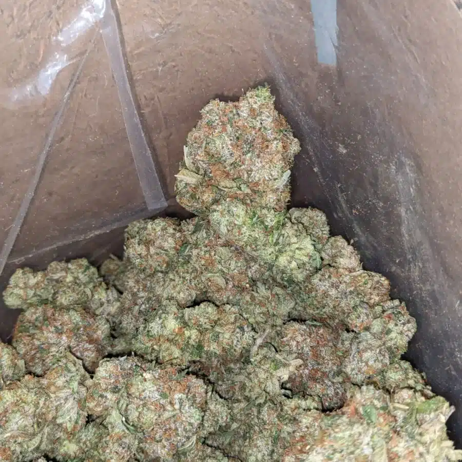 Pink star 1 1 I $85 Oz - Pink Star