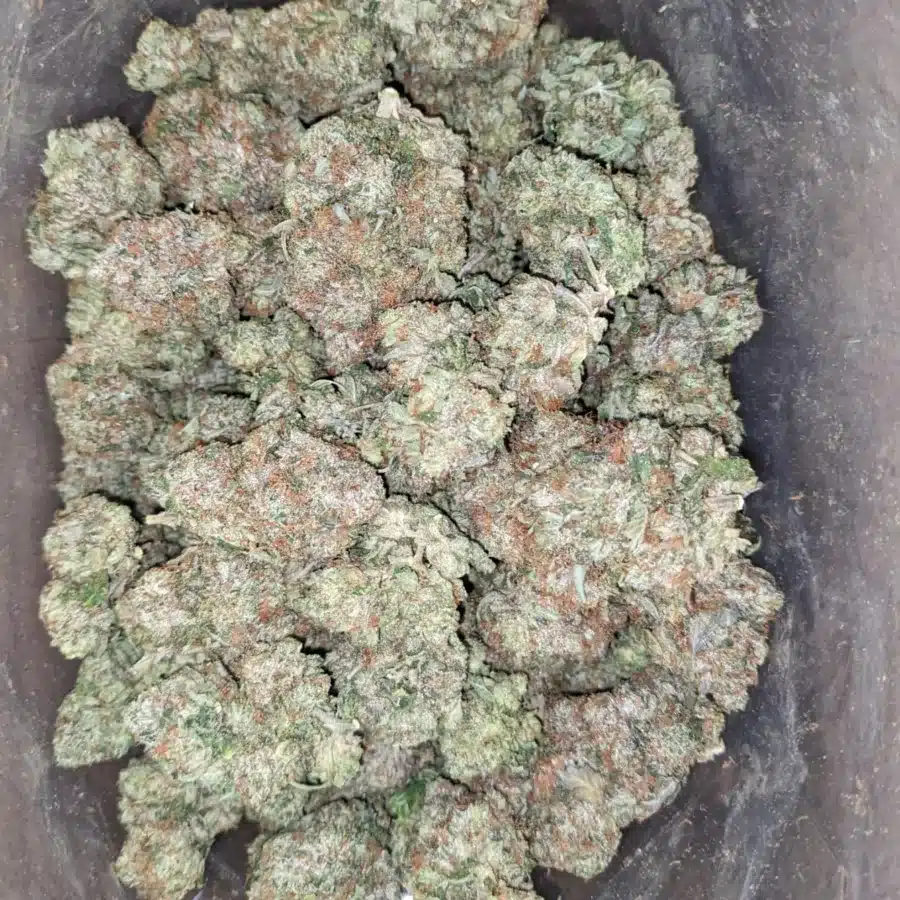 Pink star 3 1 I $85 Oz - Pink Star