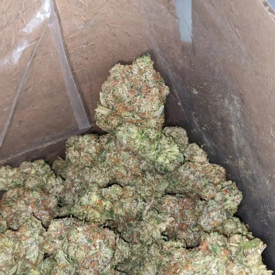 Pink star 4 I $85 Oz - Pink Star