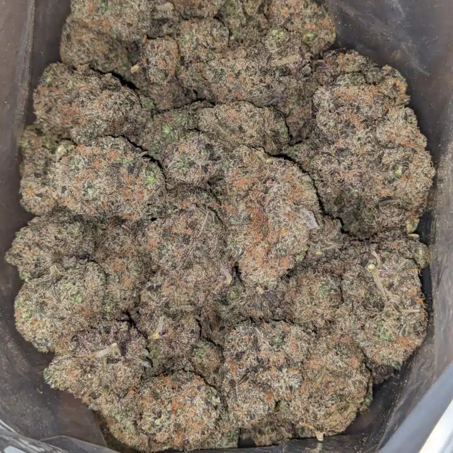 Purple Acai Berry 1 I Purple Acai Berry #2