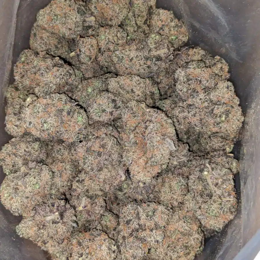 Purple Acai Berry 2 I Purple Acai Berry #2