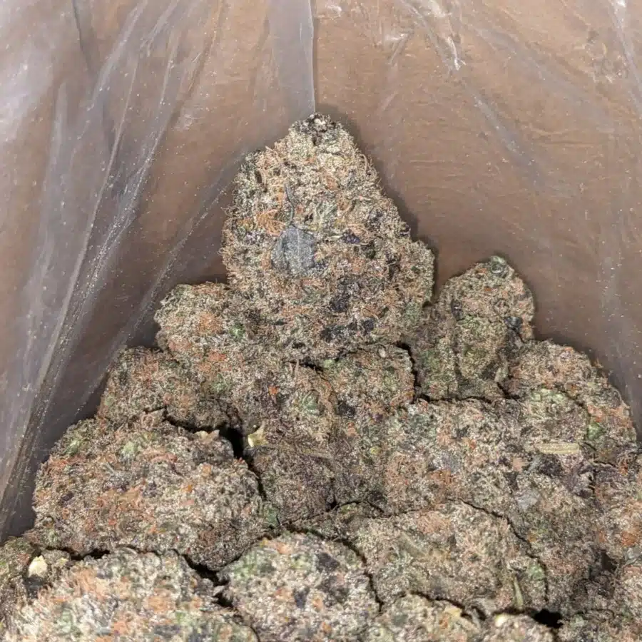Purple Acai Berry 3 I Purple Acai Berry #2